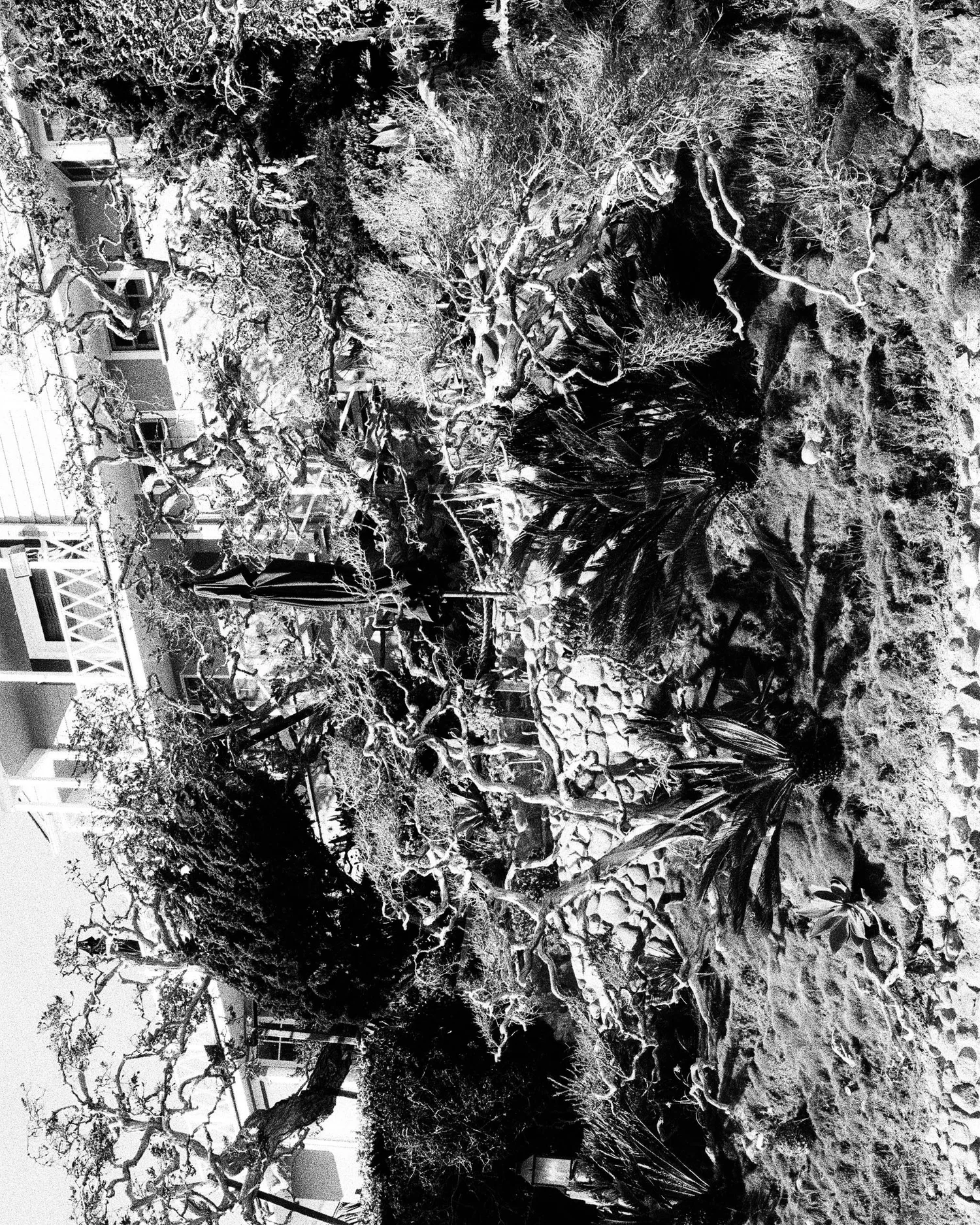 BNW Spring series