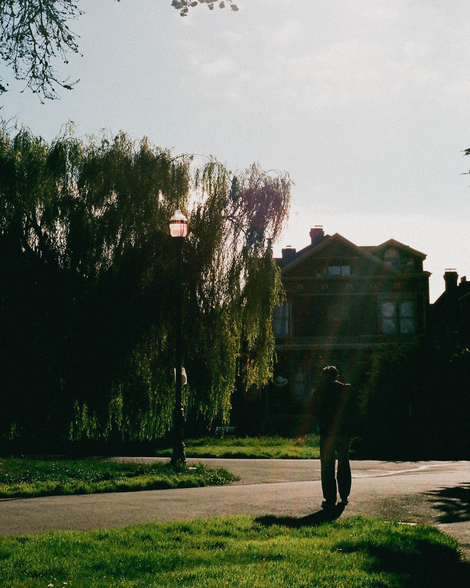 35mm frame 23620015
