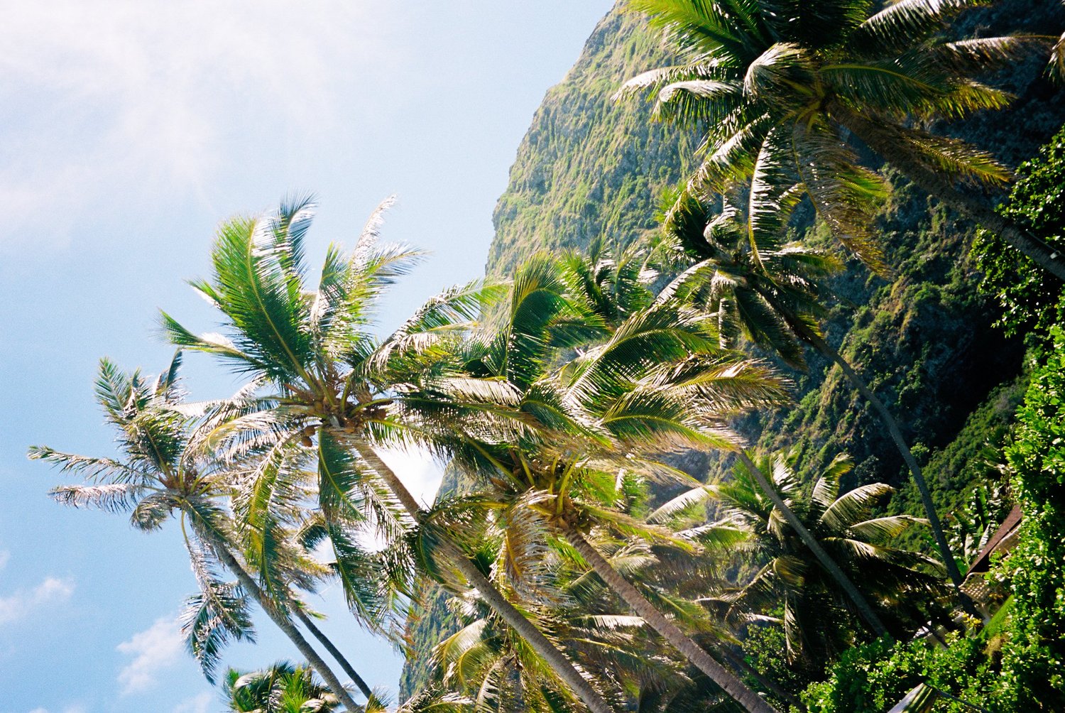Hawaii, spring 2025